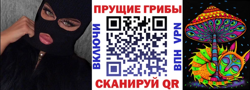 Галлюциногенные грибы Psilocybe  ОМГ ОМГ ссылка  Ярцево 